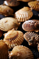 Fresh scallops background 