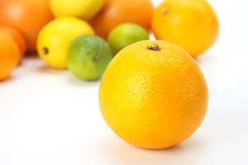 orange on the background of different citrus fruits on white background