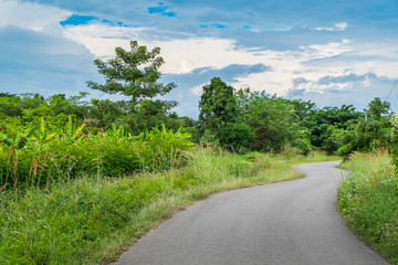 The rural road takes us to a beautiful green forest with fresh air.