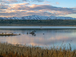 Swan Lake Nevada landscape photograph with snow capped mountains in the background.