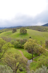 Fototapeta premium Emerald green rolling hills on a foggy day