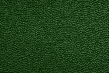 clear empty natural green leather texture