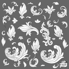 Set of element baroque engraving floral scroll