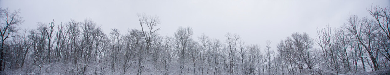 Linton Music series  1-20-2019