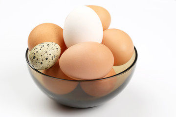chicken eggs lie in plate on white background