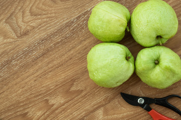 Fresh organic guava fruit. on wooden background.