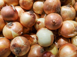 Fresh Onion. colorful background texture.