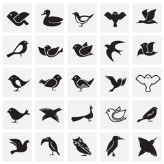 Bird icons set on squares background for graphic and web design, Modern simple vector sign. Internet concept. Trendy symbol for website design web button or mobile app