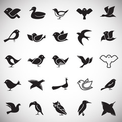 Bird icons set on white background for graphic and web design, Modern simple vector sign. Internet concept. Trendy symbol for website design web button or mobile app