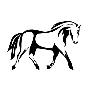 creative illustration of a horse vector silhouette