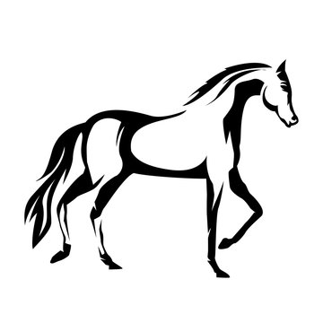 creative illustration of a horse vector silhouette