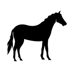 creative illustration of a horse vector silhouette
