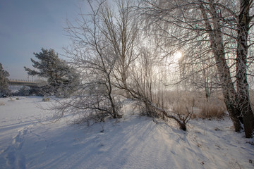 Early Foggy Morning...