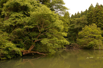 野池　湖沼　沼　池
