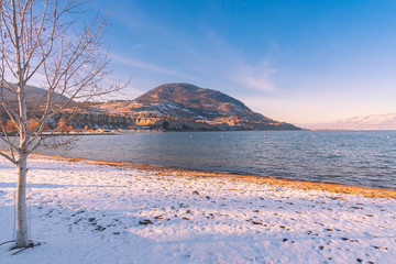 Snow on Okanagan Beach with  aspen tree and view of Okanagan Lake and distant mountains at sunset