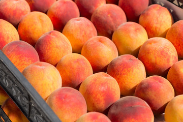 a lot of red ripe peaches lie in rows in boxes, a new crop of peaches, a concept