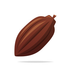 Cacao pod vector isolated illustration
