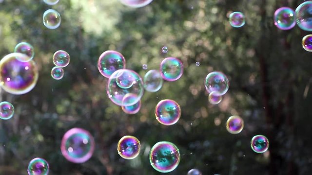 Closeup of colorful soap bubbles floating and moving slowly in the air against a background of trees. Abstract scene of bubbles floating freely.