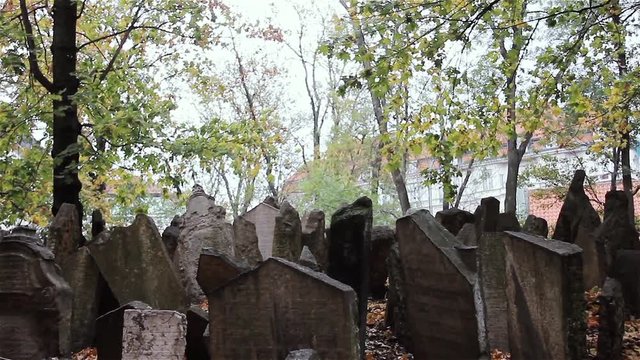 Old Gravestones and Trees at the Old Jewish Cemetery, Josefov, Prague, Czech Republic.