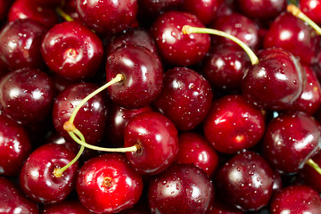 Sweet cherry in water drops