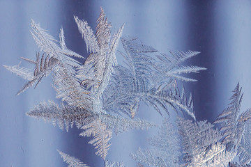 Macro images of frost pattern on window during polar vortex