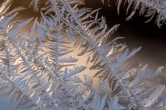 Macro images of frost pattern on window during polar vortex
