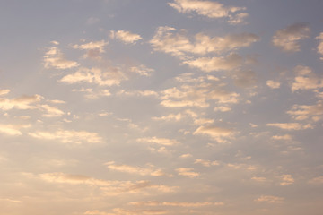 The soft background of the clouds and the sky.