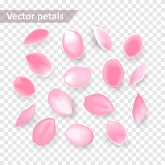 Rose petals set, falling pink sakura petals