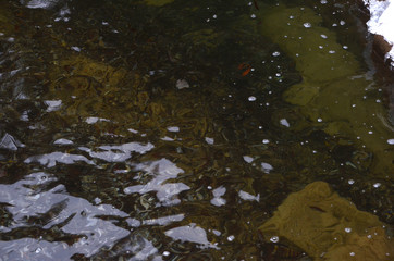 beautiful winter mountain nature