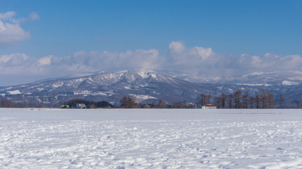Fototapeta na wymiar Beautiful Winter Landscape with powder snow on a road in, Hokkaido Japan