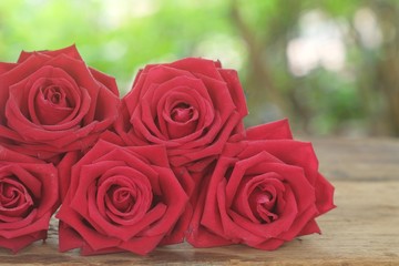 Naklejka premium Group of lovely blooming red color rose flower decorated with petals on wood table background, sweet valentine present concept