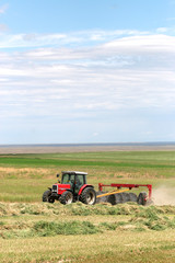 Obraz premium Agriculture - Alfalfa