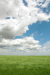 Agriculture - Farmland