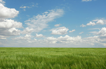 Agriculture - Farmland
