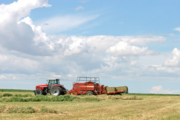 Agriculture - Alfalfa © LUGOSTOCK