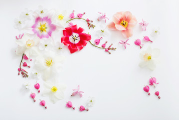 Obraz na płótnie Canvas spring flowers on white background