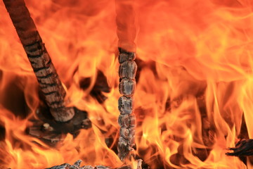 image of burning fire with burnt firewood macro photo
