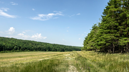 in the hollow between the hills there is a barely noticeable road