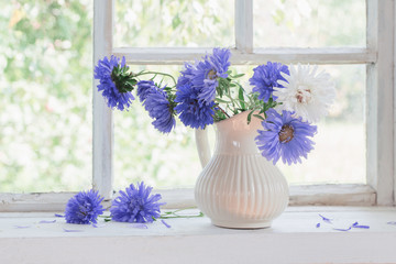 purple asters in  jug on  windowsill