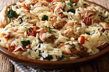 Rustic style, orzo pasta with fried chicken, dried tomatoes, spinach, garlic and cheese close-up. horizontal