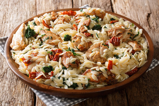 Traditional orzo pasta with fried chicken, dried tomatoes, spinach, garlic and cheese close-up. Horizontal