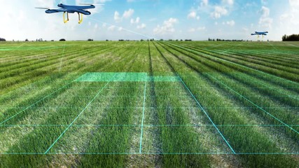 Drone scanning farm, Analyze the field, glow smart agriculture, 4K size movie, internet of things. 4th industrial revolution.