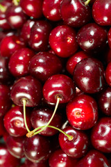 Sweet cherry in water drops