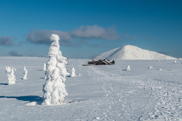 Sunny winter day in Krkonose with Lucni bouda and Snezka in background, Giant mountains, Czech republic