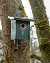 Green Birdhouse on a Tree