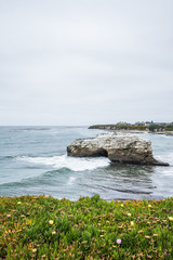 Green grass with flowers in front of a rock arch full of birds on it, waves in the ocean