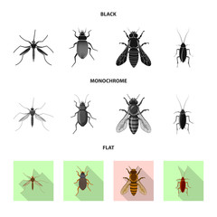Vector illustration of insect and fly symbol. Collection of insect and element stock symbol for web.