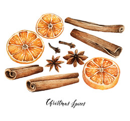 Watercolor elements. Christmas spices for drinks, cinnamon, star anise, cloves, orange, handmade