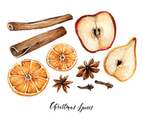 Watercolor elements. Christmas spices for drinks, cinnamon, star anise, cloves, orange, apple, pear, handmade