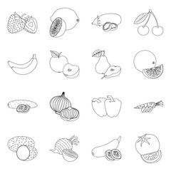 Vector illustration of vegetable and fruit symbol. Collection of vegetable and vegetarian stock symbol for web.